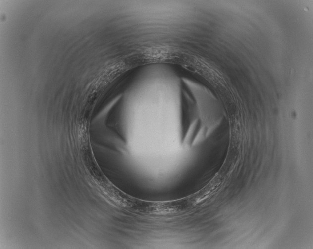X0000072920601200608111512