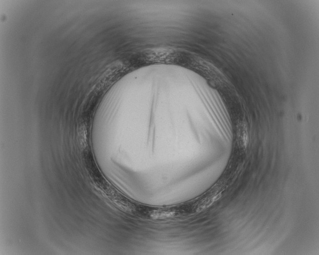 X0000072920602200608111512