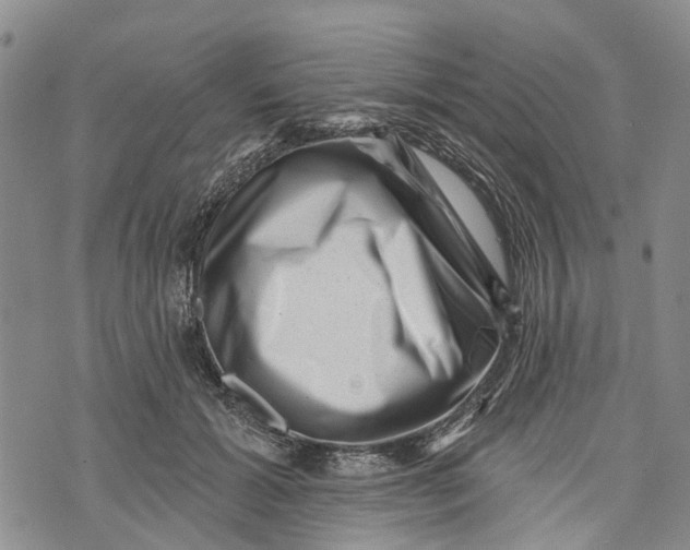 X0000072920605200608111512