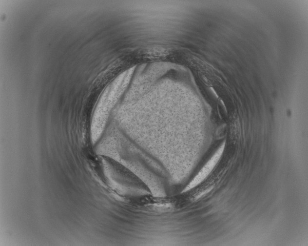 X0000072920608200608111512