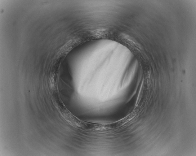 X0000072920611200608111512