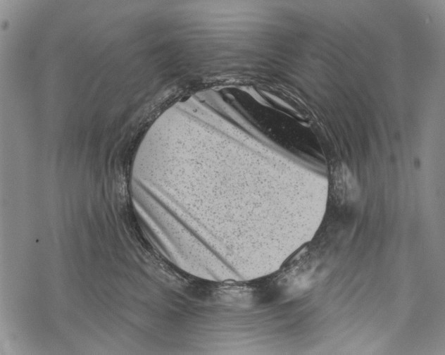 X0000072920617200608111512