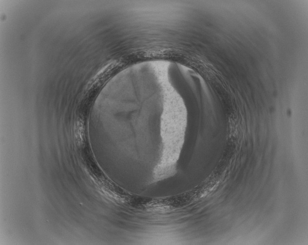 X0000072920648200608111511