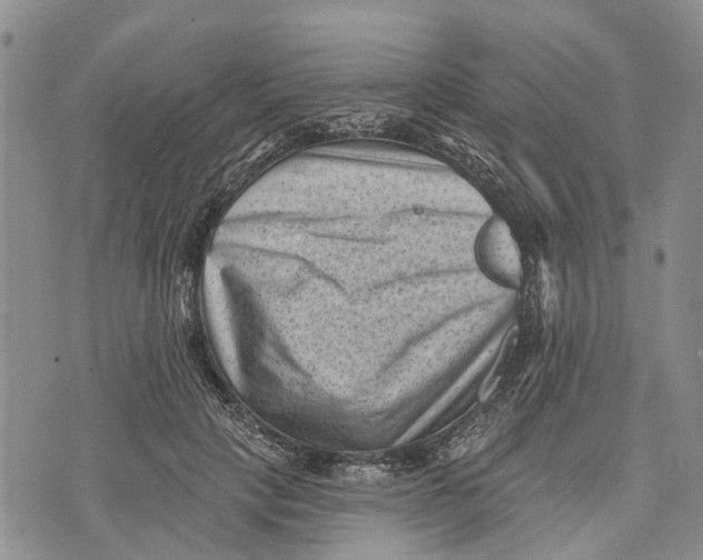 X0000072920649200608111511