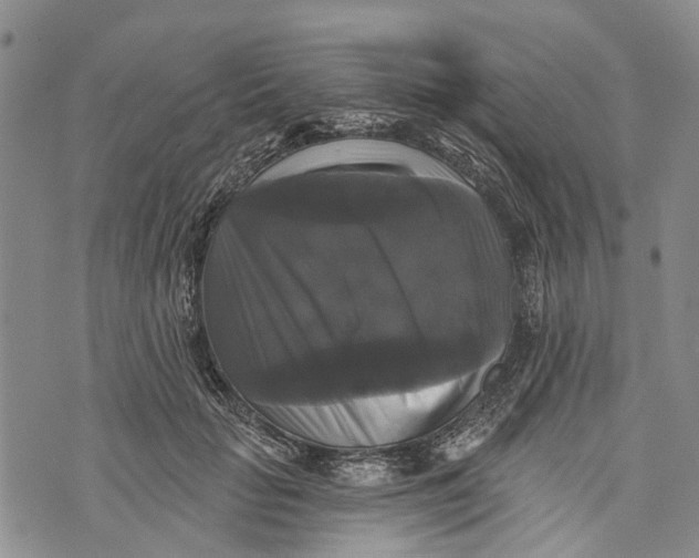 X0000072920653200608111511