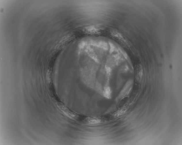 X0000072920658200608111511