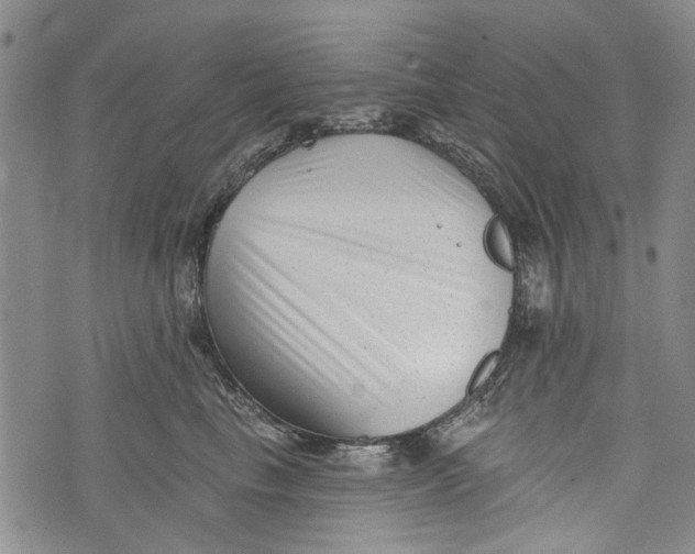 X0000072920665200608111511