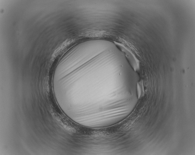 X0000072920682200608111511