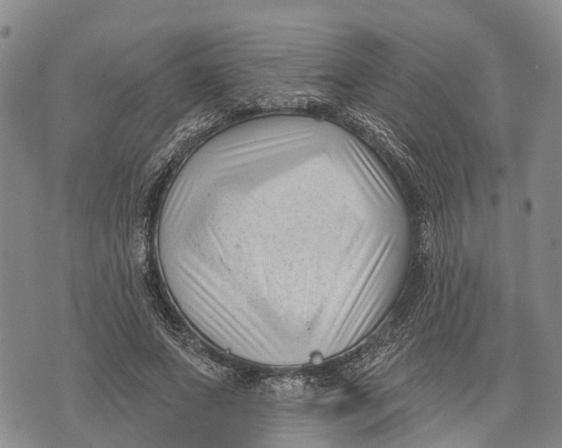 X0000072920687200608111511