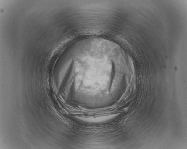 X0000072920688200608111511