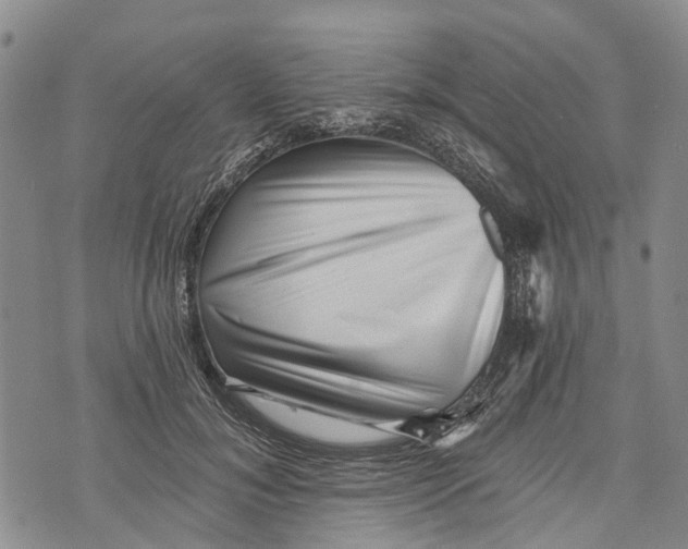 X0000072920700200608111510