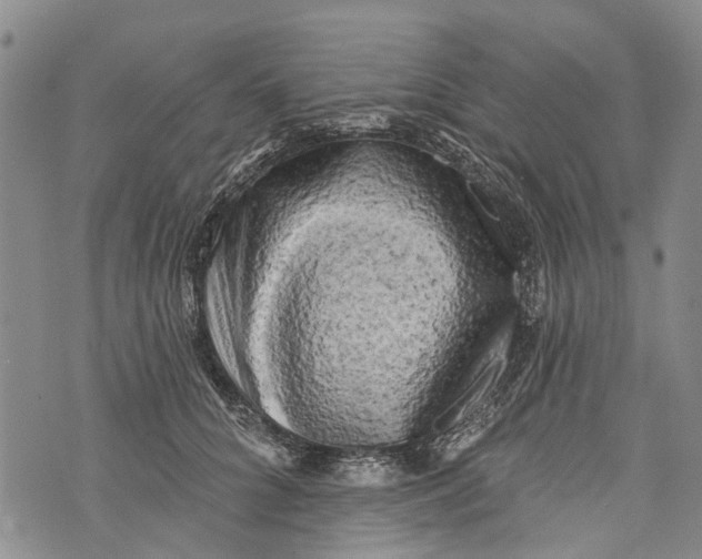 X0000072920704200608111510