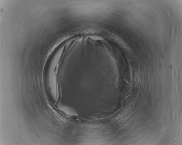 X0000072920722200608111509