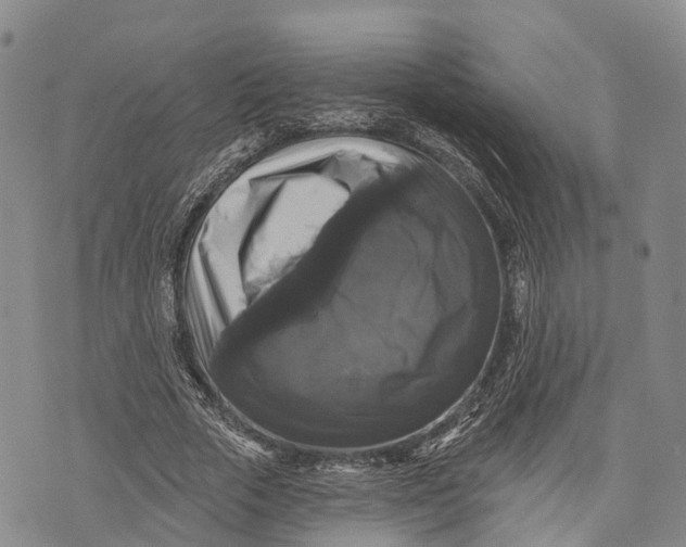 X0000072920729200608111509