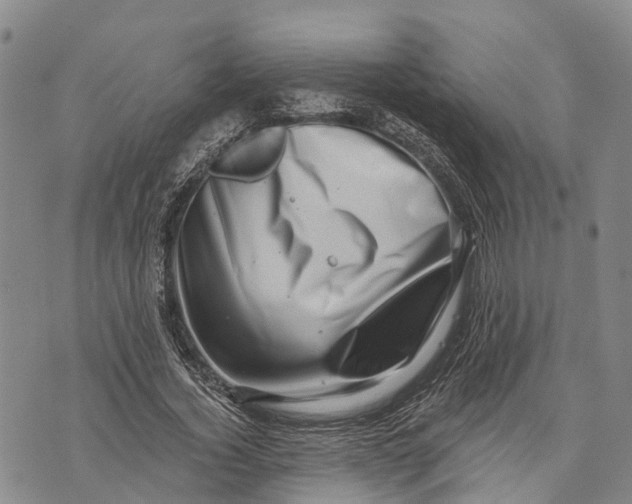 X0000072920732200608111509