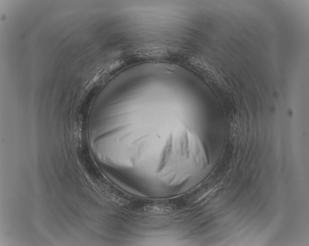 X0000072920739200608111510