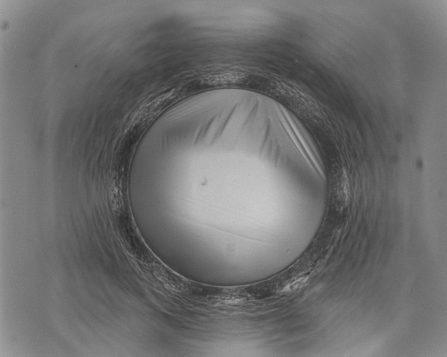 X0000072920743200608111510