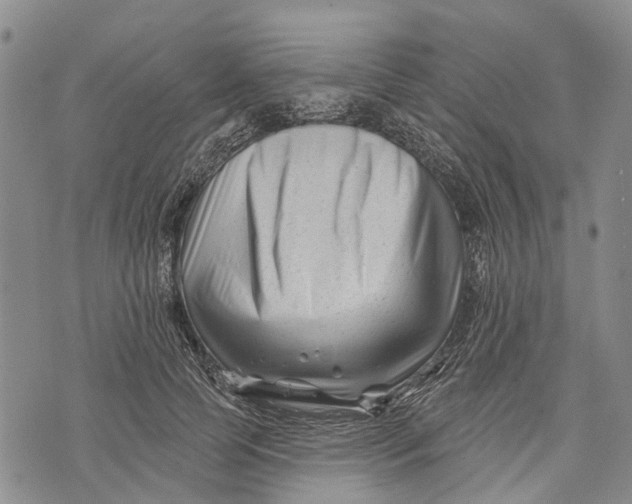 X0000072920745200608111510