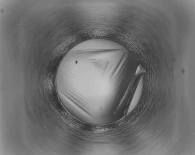 X0000072920746200608111510