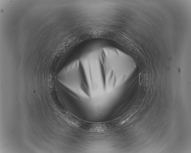 X0000072920750200608111510