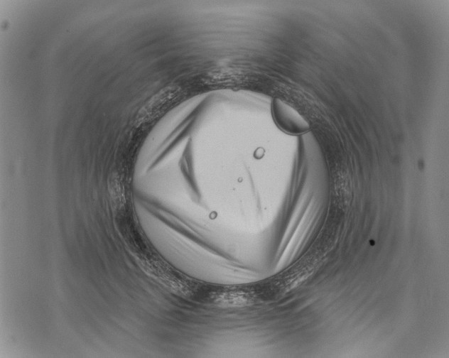 X0000072920751200608111510