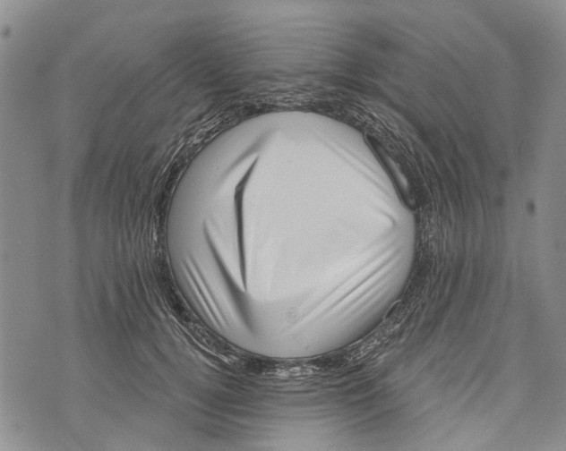 X0000072920752200608111510