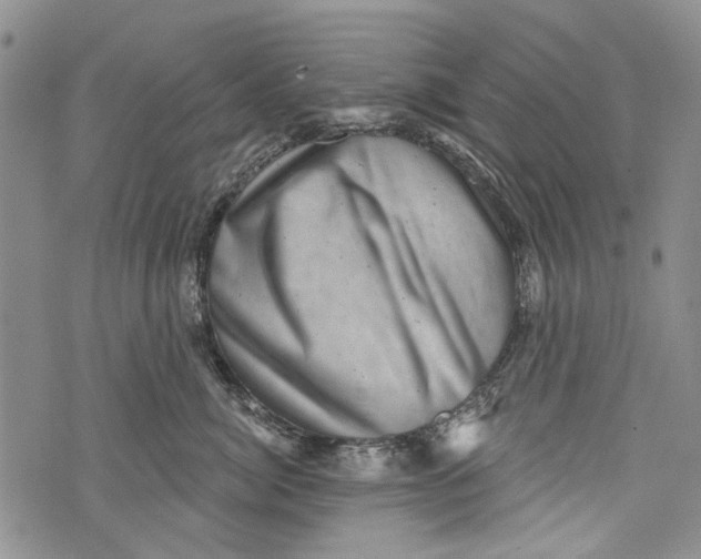 X0000072920764200608111510