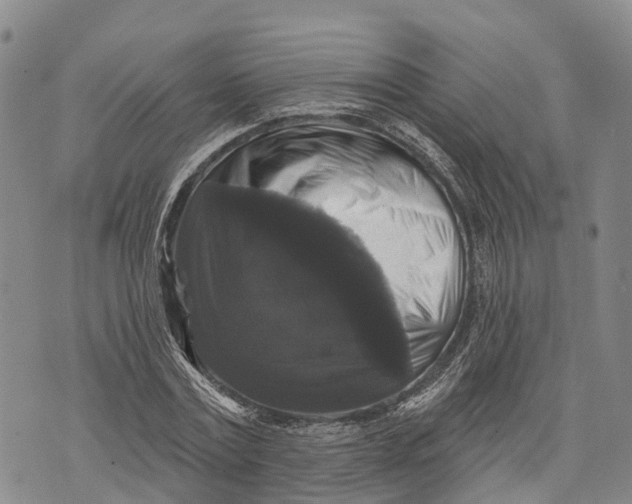 X0000072920779200608111509