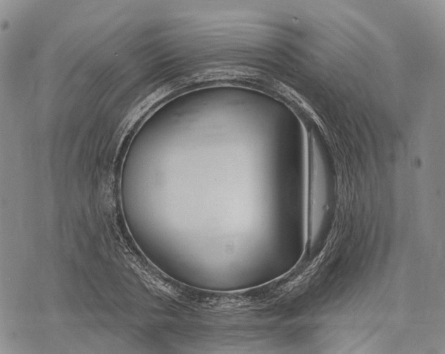 X0000072920786200608111509