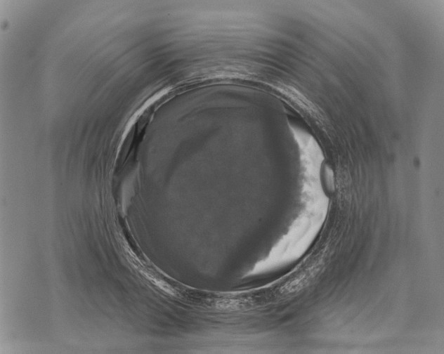 X0000072920790200608111509