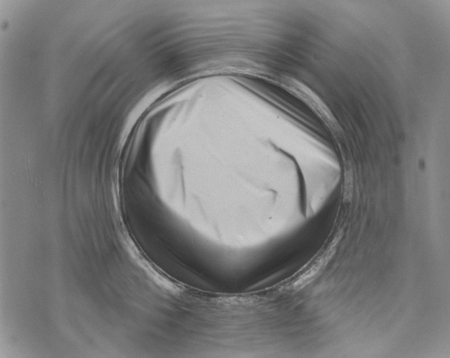 X0000072920812200608111509