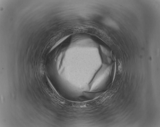 X0000072920819200608111508