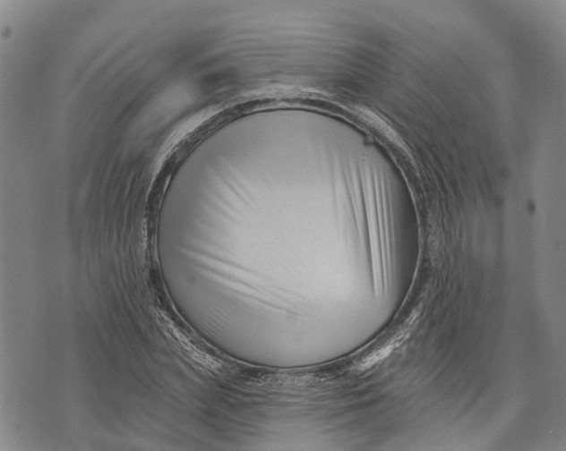 X0000072920831200608111508