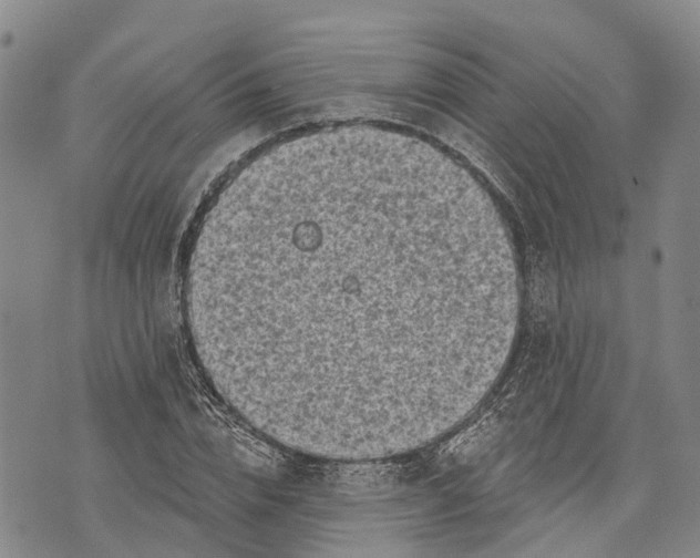 X0000072920832200608111508