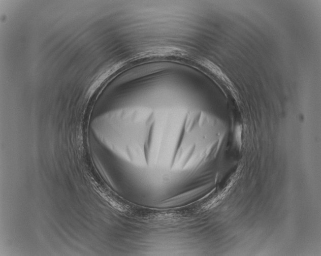 X0000072920834200608111508