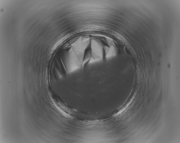 X0000072920842200608111508