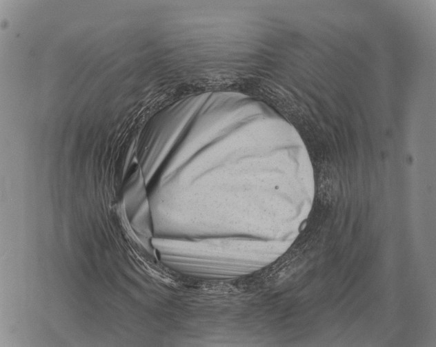 X0000072920866200608111508