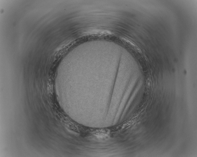 X0000072920869200608111508