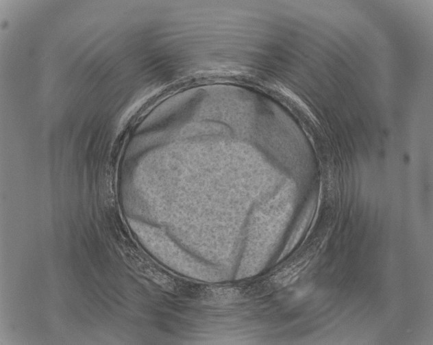 X0000072920878200608111507