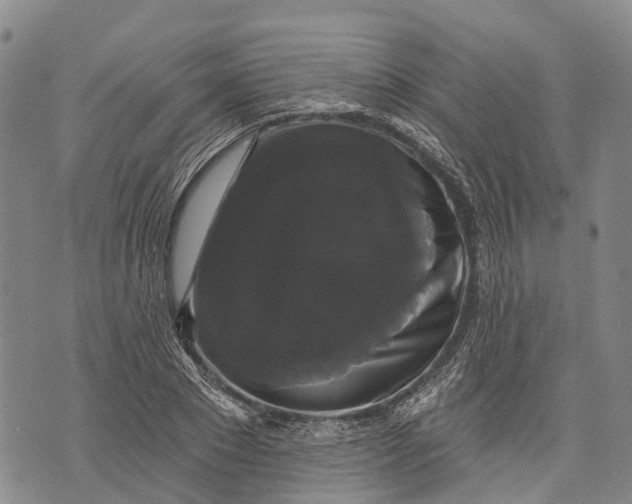 X0000072920881200608111507