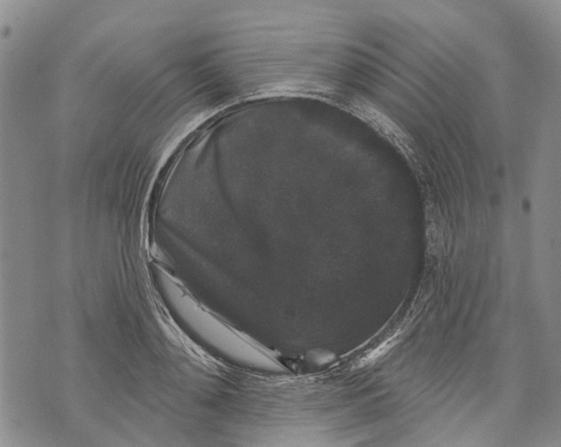 X0000072920892200608111507