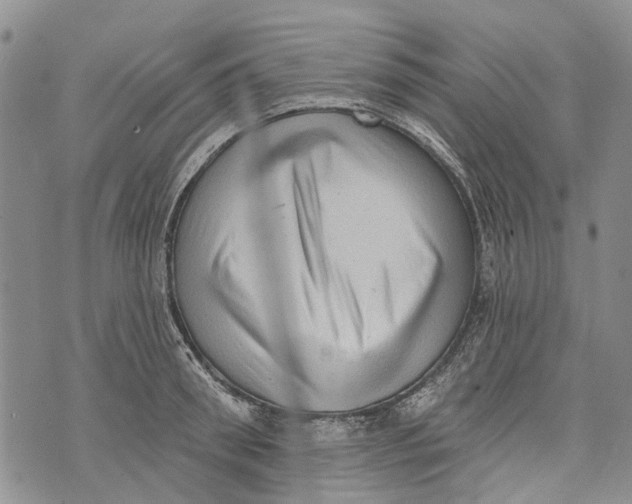 X0000072920898200608111507