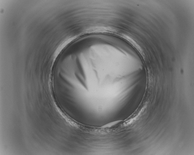 X0000072920901200608111507