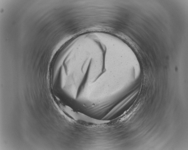 X0000072920902200608111507