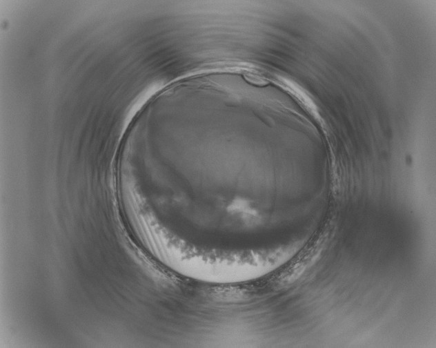 X0000072920907200608111507