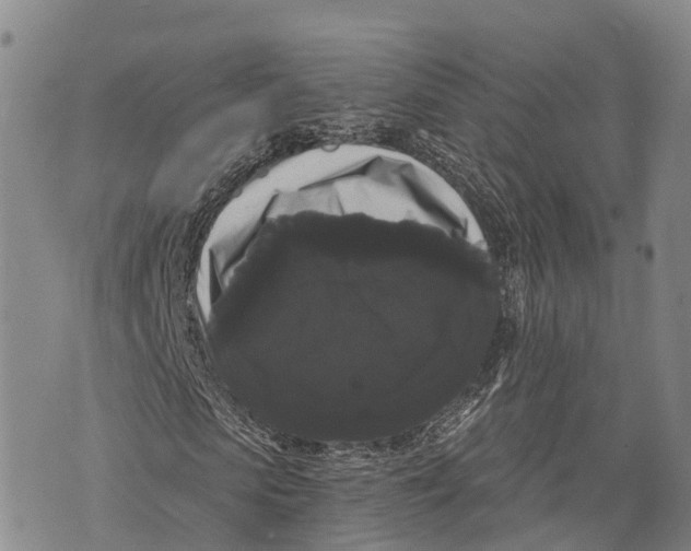 X0000072920913200608111506