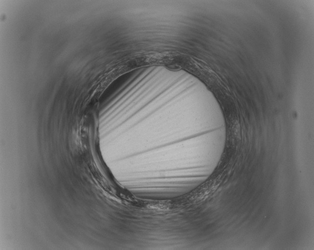X0000072920914200608111506