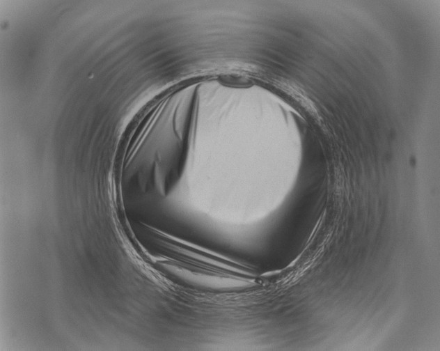 X0000072920936200608111506