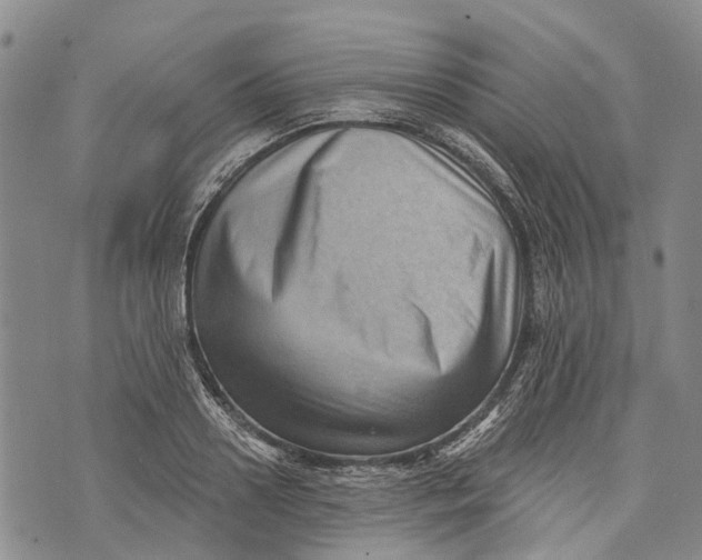 X0000072920938200608111507