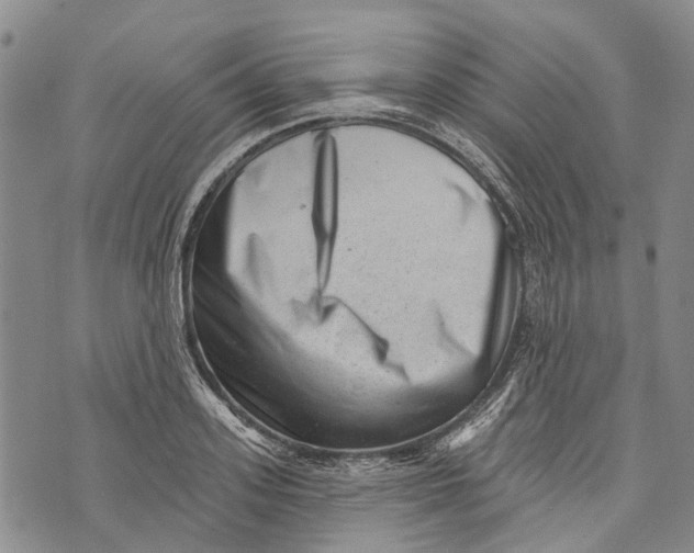 X0000072920939200608111507